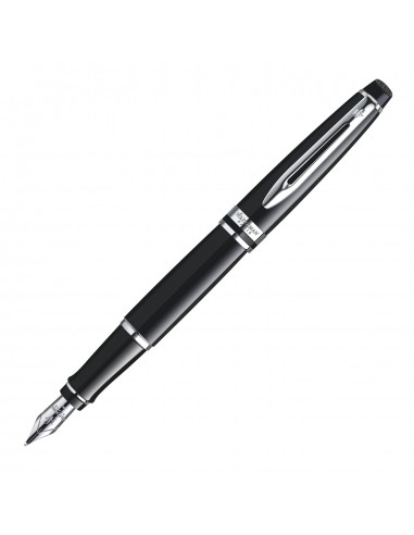 Waterman Expert Black CT Fountain Pen