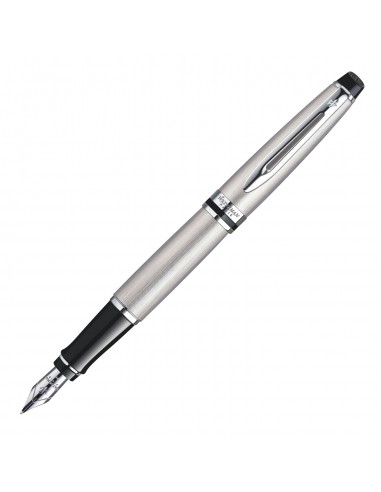 Waterman Expert Stainless Steel CT Fountain Pen Fine S0952040