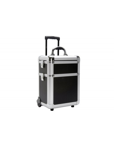 TZ CASE Mini-Pro Series - Beauty Cases AB-311T