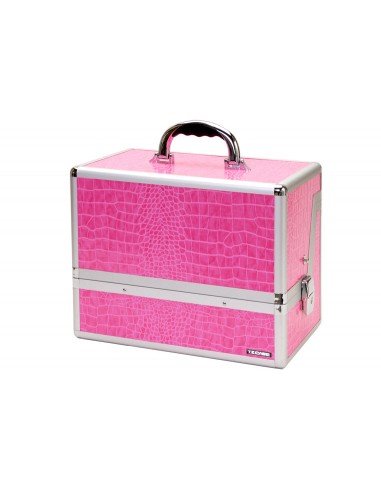 TZ CASE Mini-Pro Series - Beauty Cases AB-70-PA