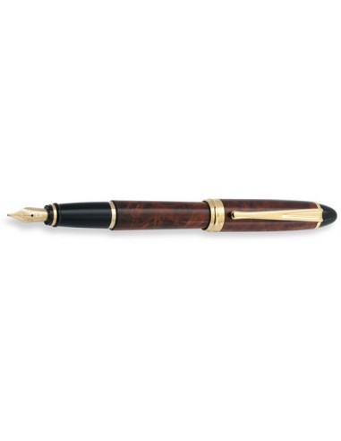 Aurora Turtle Lacquer Fountain Pen