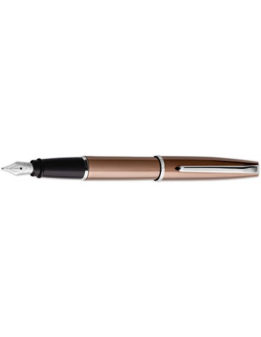 Aurora Style Bronze PVD Fountain Pen