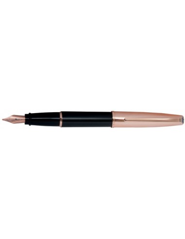 Aurora Style Rose Gold Cap Resin Body Fountain Pen