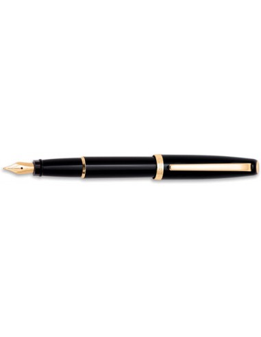 Aurora Style Black Pepper Fountain Pen