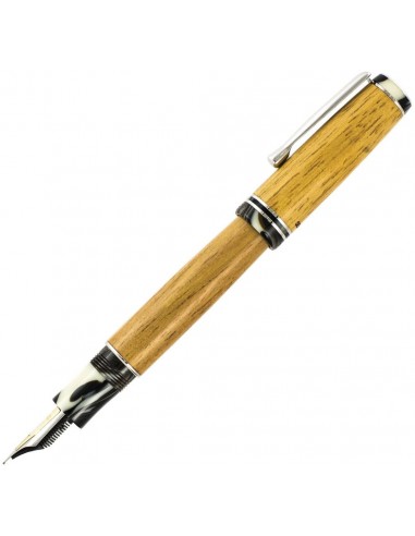 Delta Light Sea Wood Wooden Collection Fountain Pen 18k Fine Nib