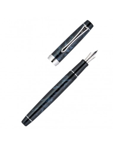 Pilot Custom Heritage SE Fountain Pen Marble Black